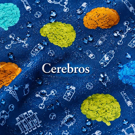 Cerebros