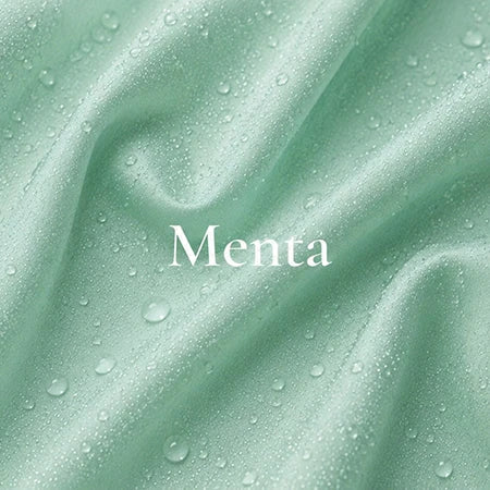 Menta