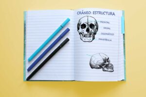 TIPS DE ESTUDIO